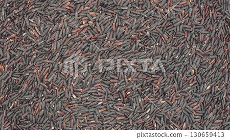 Close-up view of riceberry rice grains showing natural texture and color. Perfect for use as organic food background 130659413