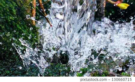 Close-up of clear stream splashing on mossy rocks Close-up of clear stream splashing on mossy rocks 130660715