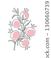 Branch with pomegranates and leaves. Shana Tova. Modern single line art drawing. Continuous line drawing. Outline draw design color vector illustration 130660739