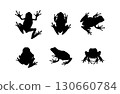 Set of black vector frog silhouettes isolated on white background. Collection of poisonous amphibians with slender long legs in various poses, shown in front, back, side, and top views 130660784