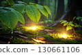Forest floor lit with soft magical golden light. 130661106
