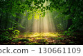 Green forest glowing with beams of sunlight. 130661109