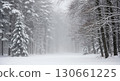 Snowy forest path covered in white mist. 130661225