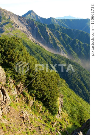 Southern Alps Kitaake 130661738