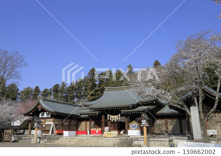 Under a clear blue sky, the grounds of Ibaraki Gokoku Shrine in Mito City, Ibaraki Prefecture, are beautiful with cherry blossoms in full bloom. Under a clear blue sky, the grounds of Ibaraki Gokoku Shrine in Mito City, Ibaraki Prefecture, are beautiful with cherry blossoms in full bloom. 130662002