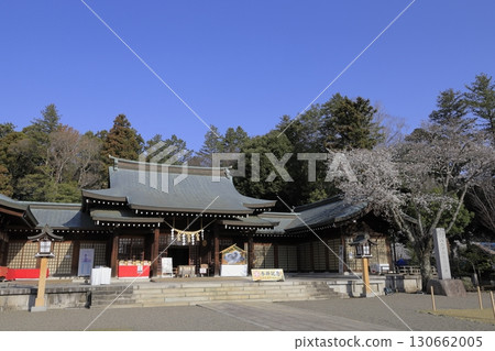 Under a clear blue sky, the grounds of Ibaraki Gokoku Shrine in Mito City, Ibaraki Prefecture, are beautiful with cherry blossoms in full bloom. Under a clear blue sky, the grounds of Ibaraki Gokoku Shrine in Mito City, Ibaraki Prefecture, are beautiful with cherry blossoms in full bloom. 130662005