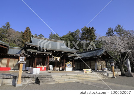 Under a clear blue sky, the grounds of Ibaraki Gokoku Shrine in Mito City, Ibaraki Prefecture, are beautiful with cherry blossoms in full bloom. Under a clear blue sky, the grounds of Ibaraki Gokoku Shrine in Mito City, Ibaraki Prefecture, are beautiful with cherry blossoms in full bloom. 130662007