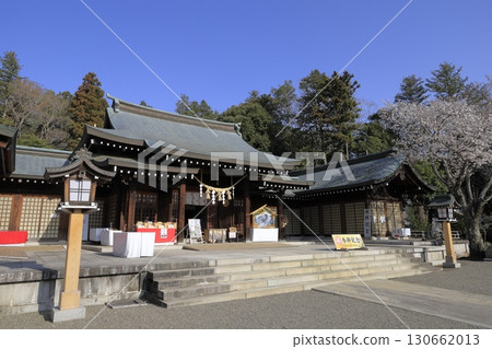 Under a clear blue sky, the grounds of Ibaraki Gokoku Shrine in Mito City, Ibaraki Prefecture, are beautiful with cherry blossoms in full bloom. Under a clear blue sky, the grounds of Ibaraki Gokoku Shrine in Mito City, Ibaraki Prefecture, are beautiful with cherry blossoms in full bloom. 130662013