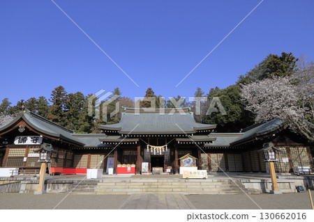 在湛藍的天空下，茨城縣水戶市的茨城護國神社境內櫻花盛開，景色美麗。 130662016