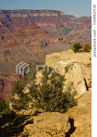 Hazy Sky Day At The Grand Canyon Arizona Hazy Sky Day At The Grand Canyon Arizona 130662416