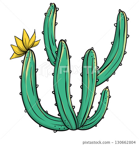 Part of desert cactus colorful	 130662804