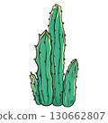 Part of desert cactus colorful	 130662807