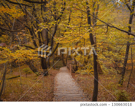 Plitvice Lakes in Croatia during autumn Plitvice Lakes in Croatia during autumn 130663018