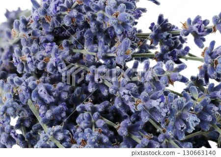 Macro view of lavender flowers with fragments of transparent background, full focus stacking for sharp details, vibrant color, and delicate floral texture 130663140