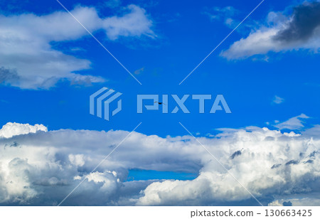 A seagull soars high in the sky backdrop of clouds A seagull soars high in the sky backdrop of clouds 130663425
