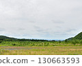 Cloudy sky and mountain fields 130663593