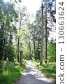 Road surrounded by fresh green 130663624