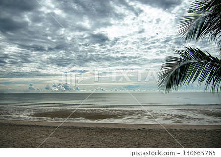 藍色海和棕櫚樹 130665765