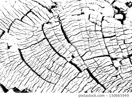 Cracked vintage tree stump surface showing natural texture and annual wood rings. Close up tree stump cracks Cracked vintage tree stump surface showing natural texture and annual wood rings. Close up tree stump cracks 130665949