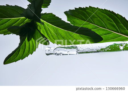 A pipette with a drop of serum in refreshing mint leaves. A pipette with a drop of serum in refreshing mint leaves. 130666960