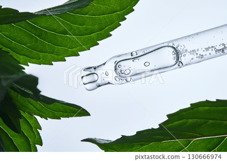 A pipette with a drop of serum in refreshing mint leaves. A pipette with a drop of serum in refreshing mint leaves. 130666974