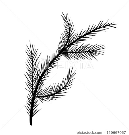 An Elegant Illustration Featuring a Beautiful Black Pine Branch in a Design Aesthetic 130667067