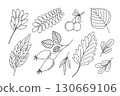 Plants set decorative branch with leaves for home decor, Thanksgiving, autumn, summer seasonal festive hand drawn outline holiday illustration for greeting card, invitation, banner design 130669106