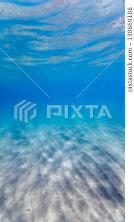 Underwater background deep blue sea from Spain, Costa Brava, Palamos 130669188