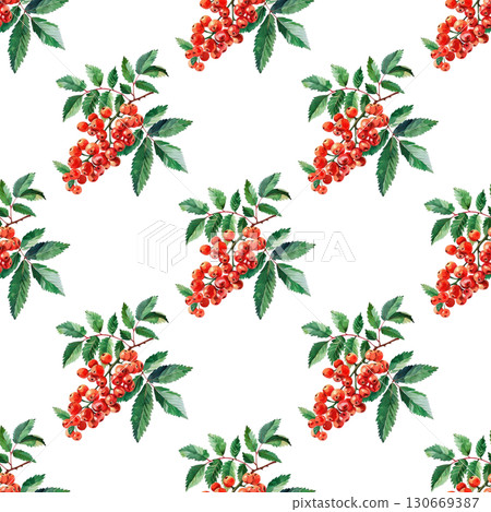Seamless pattern with watercolor mountain ash and autumn elements on clean white background. Ideal for seasonal branding and packaging Seamless pattern with watercolor mountain ash and autumn elements on clean white background. Ideal for seasonal branding and packaging 130669387