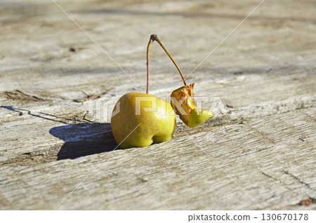 On the branch one small whole apple and a core On the branch one small whole apple and a core 130670178