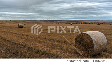 Agricultural field with hay bales under a cloudy sky 130670329