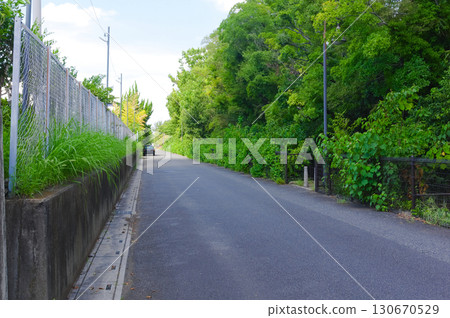 埼玉縣越谷市葛西灌溉渠 2025年9月 130670529