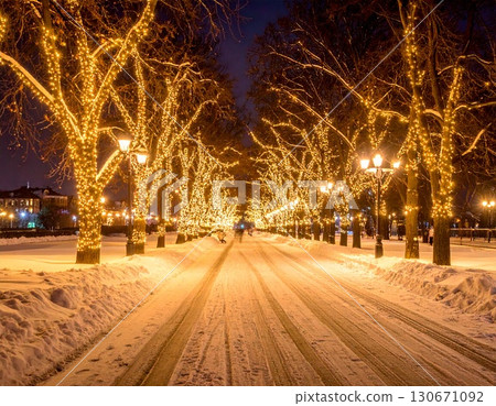 金色的冬日彩燈閃耀在樹叢間 金色的冬日彩燈閃耀在樹叢間 130671092