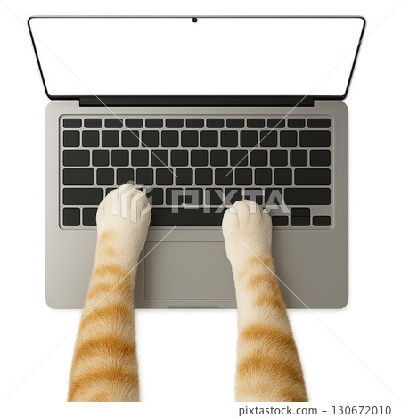 貓的前腿操作筆記型電腦 130672010