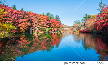 輕井澤、雲場池(秋季) 輕井澤、雲場池(秋季) 130672265