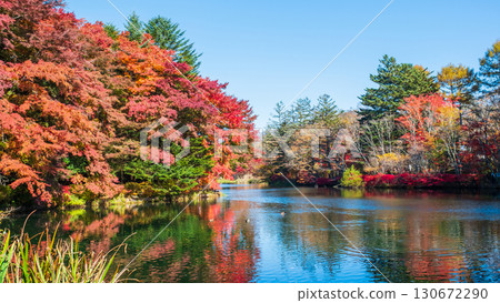 輕井澤、雲場池（秋季） 130672290