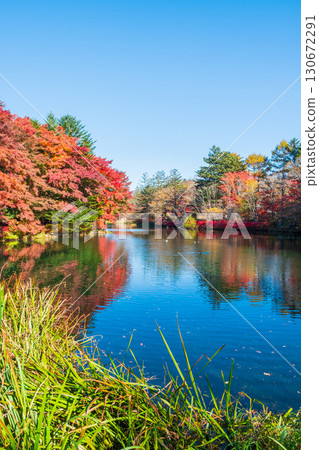 Karuizawa, Kumoba Pond (Autumn) 130672291