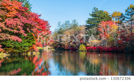 輕井澤、雲場池(秋季) 輕井澤、雲場池(秋季) 130672306
