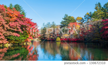 Karuizawa, Kumoba Pond (Autumn) 130672310