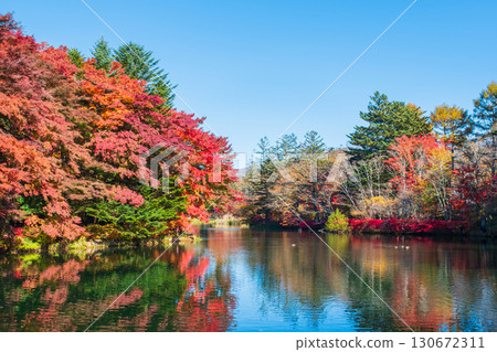 Karuizawa, Kumoba Pond (Autumn) Karuizawa, Kumoba Pond (Autumn) 130672311