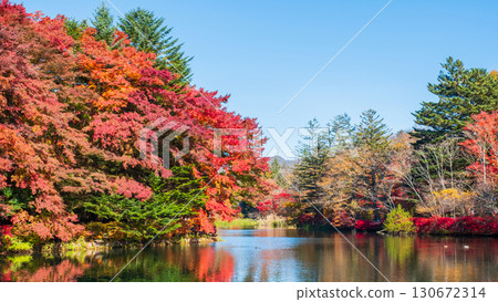 Karuizawa, Kumoba Pond (Autumn) 130672314