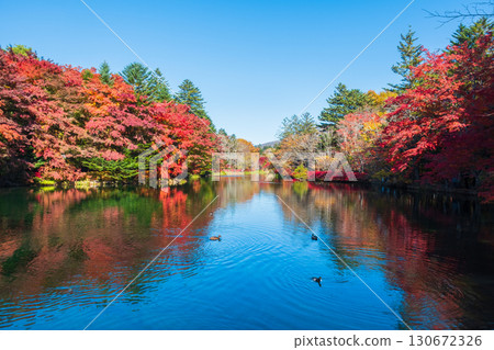 Karuizawa, Kumoba Pond (Autumn) Karuizawa, Kumoba Pond (Autumn) 130672326