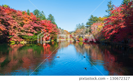 Karuizawa, Kumoba Pond (Autumn) Karuizawa, Kumoba Pond (Autumn) 130672327