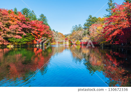 Karuizawa, Kumoba Pond (Autumn) Karuizawa, Kumoba Pond (Autumn) 130672336