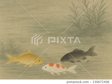 Colorful carp 130672406