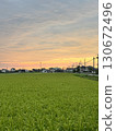Rice field scenery illuminated by the morning sun 130672496