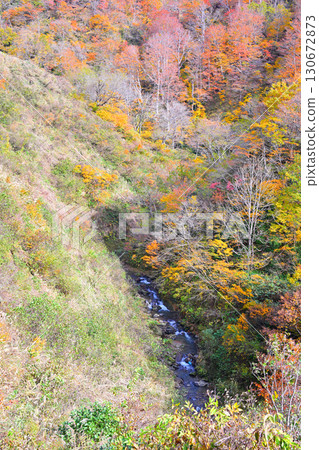 新潟縣十日町市國道353號的山間紅葉、溪流、秋景 130672873