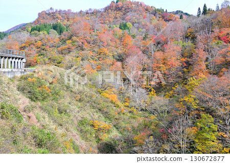 新潟縣十日町市國道353號眺望的山間紅葉、秋日風景 130672877