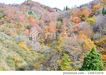 Autumn foliage in the mountains, autumn scenery, view from National Route 353, Tokamachi City, Niigata Prefecture 130672878