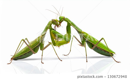 雌雄螳螂之間的戰鬥－生成式人工智慧 130672948